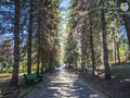 Санаторий «Пикет» Кисловодск 